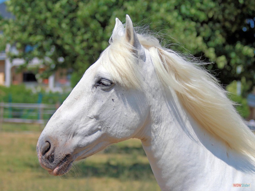 blanka004_bearbeitet-1