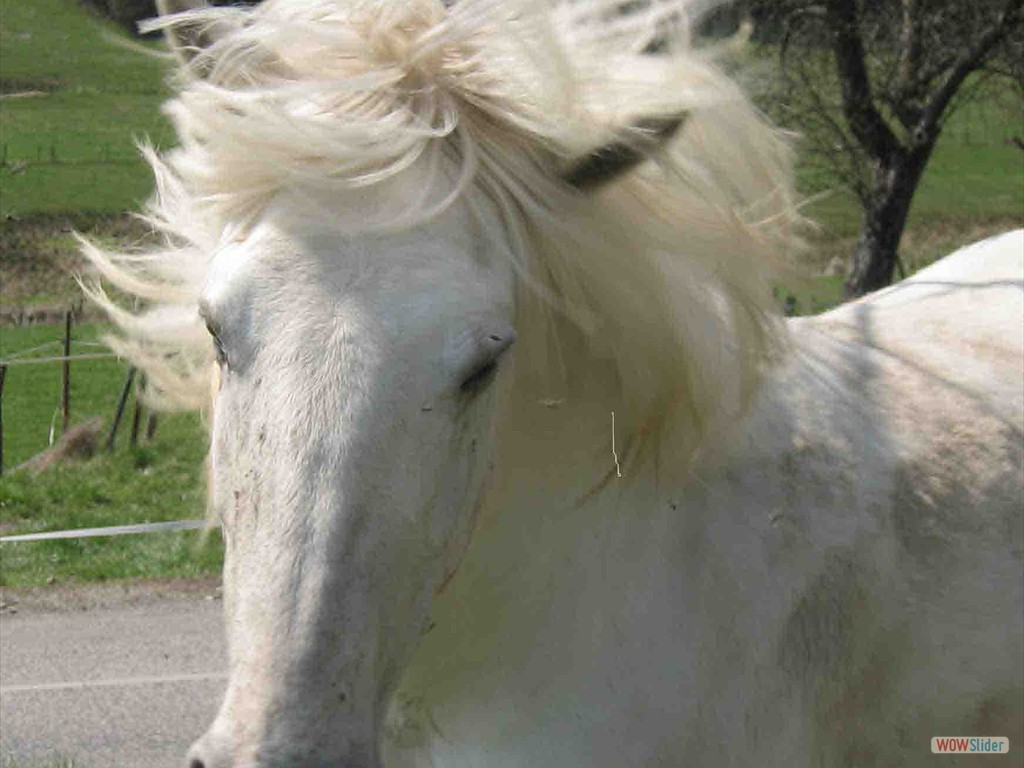 Fr118_1872_bearbeitet-3