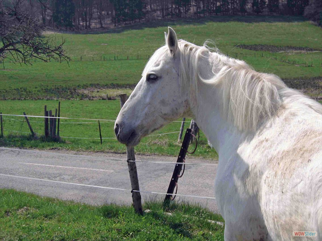 Fr118_1879_bearbeitet-1